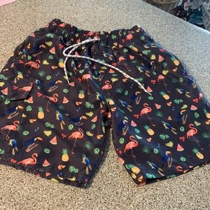 Wulful Men’s smaller swimming Shorts fruits birds grey colorful  like new